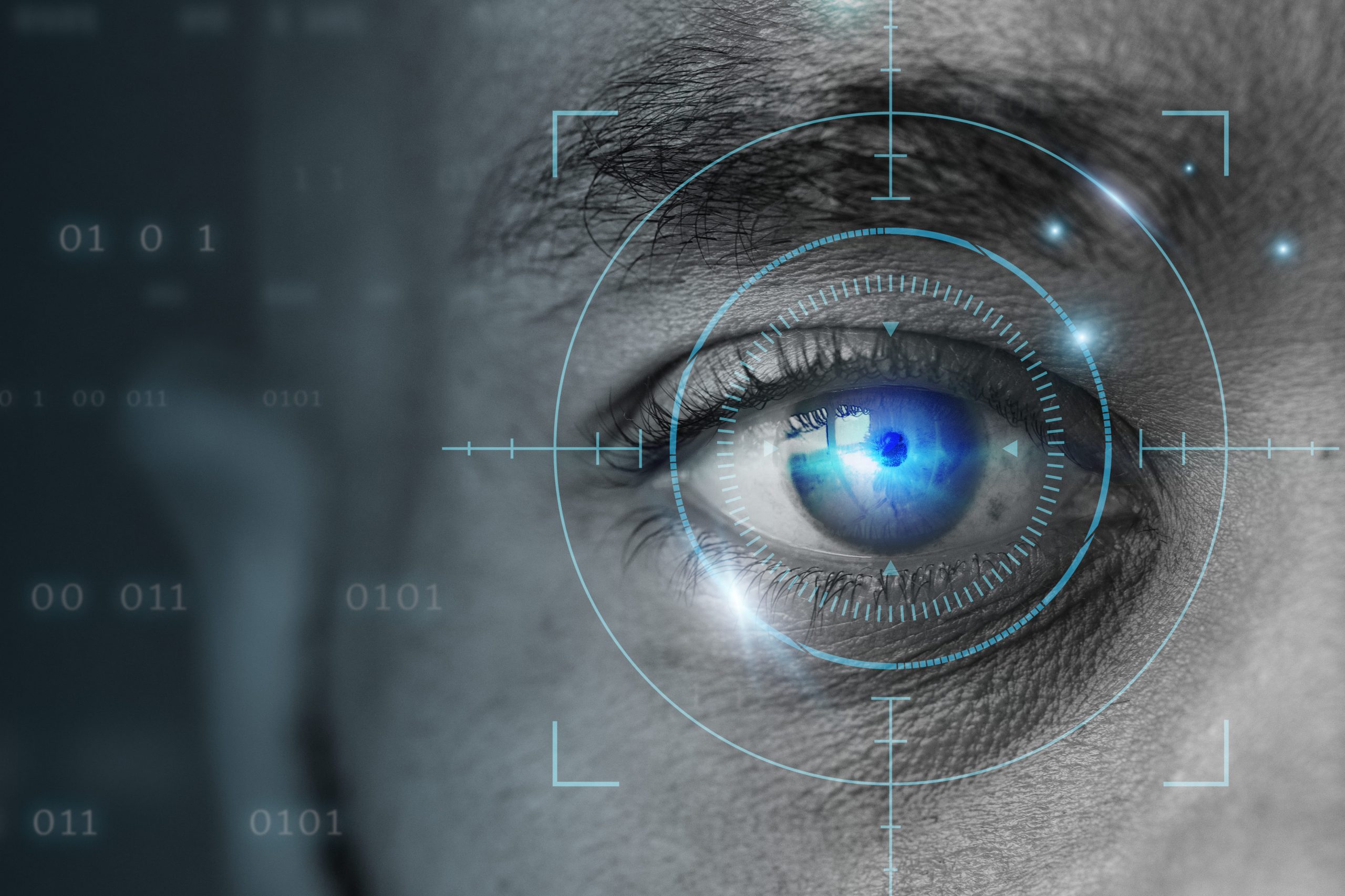 Sisteme de Securitate Biometrice
